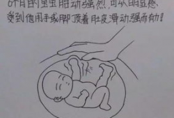 怀孕生子漫画,漫画记录怀孕生子的温馨历程